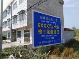 共青城墙体广告质量分析