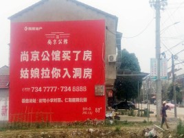 共青城墙体广告在乡镇、农村市场的媒体优势