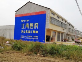 共青城农村墙体广告在不同形式上面展现的不同特色
