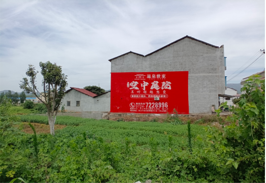 共青城做墙体广告的意义